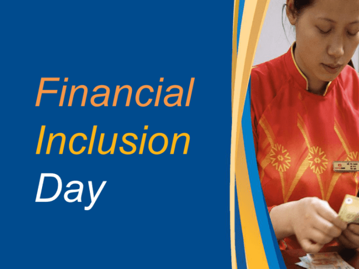 Financial Inclusion Strategies Review