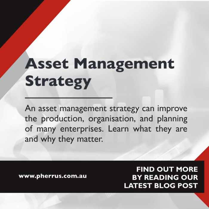 Asset Management Strategies