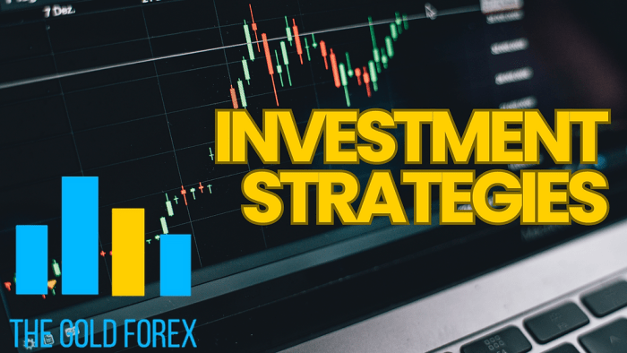 Investment Strategies Review Update