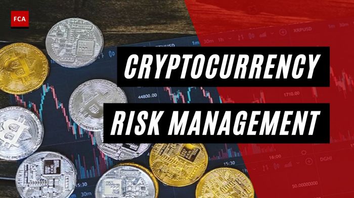 Cryptocurrency Investment Risks