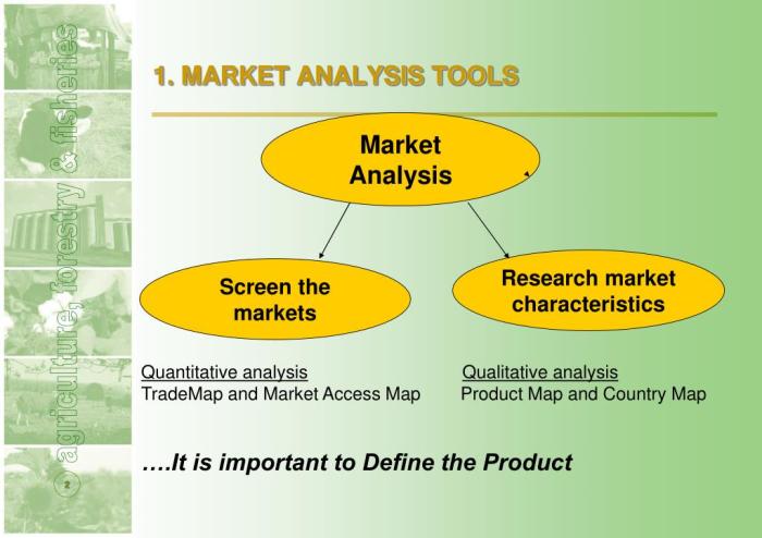 Stock Market Analysis Tools