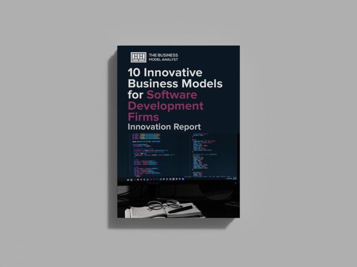 Business Model Innovation Examples