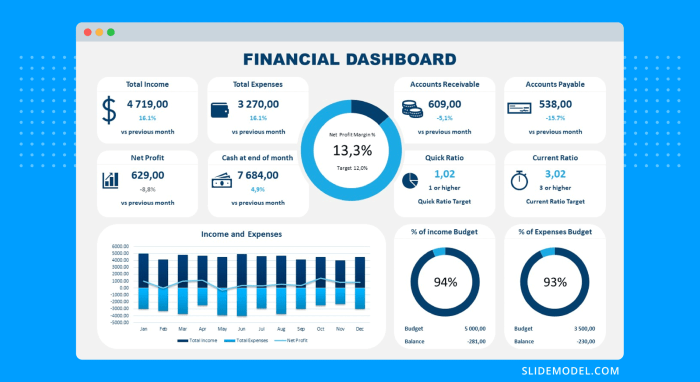 Financial Dashboard Software