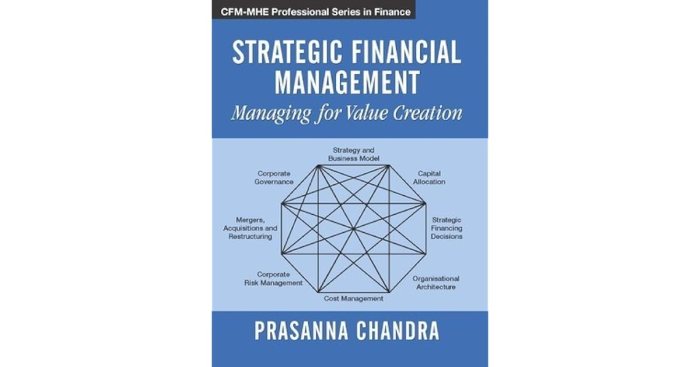 Strategic Financial Management Techniques