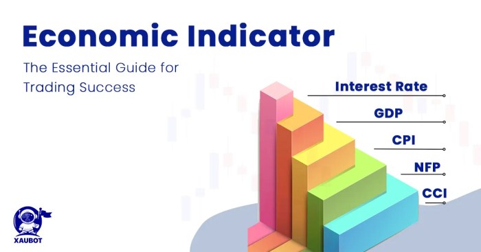 Economic Indicators Explanation Guide