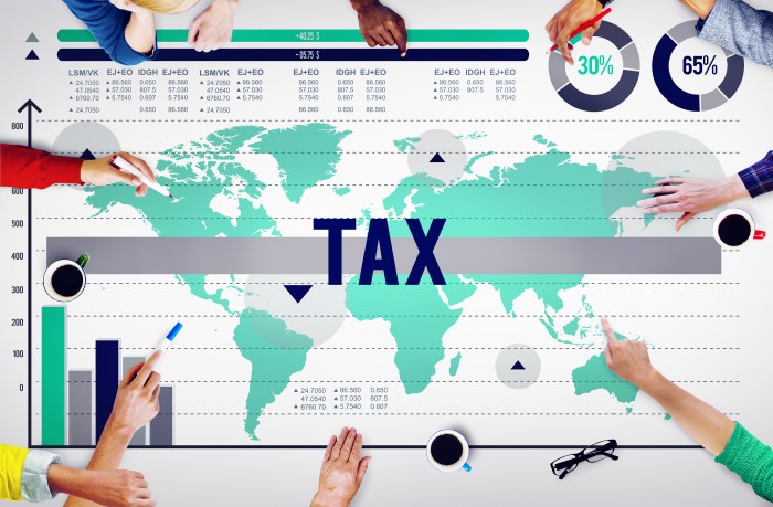 International tax law introduction advanced 2nd edition