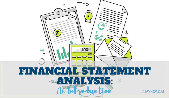 Financial Statement Analysis