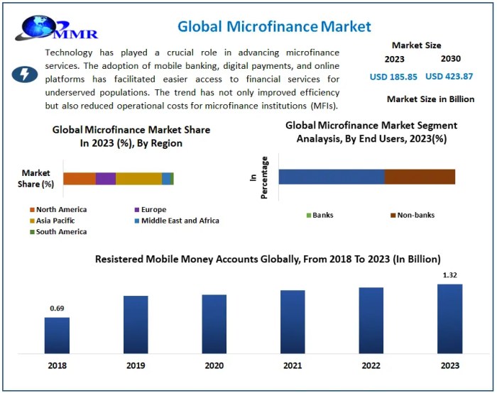 Nigeria microfinance impact analysis