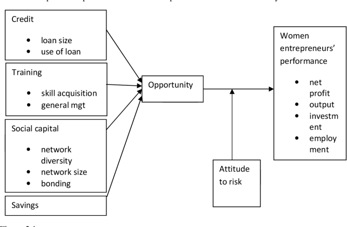 Microfinance Institution Impact