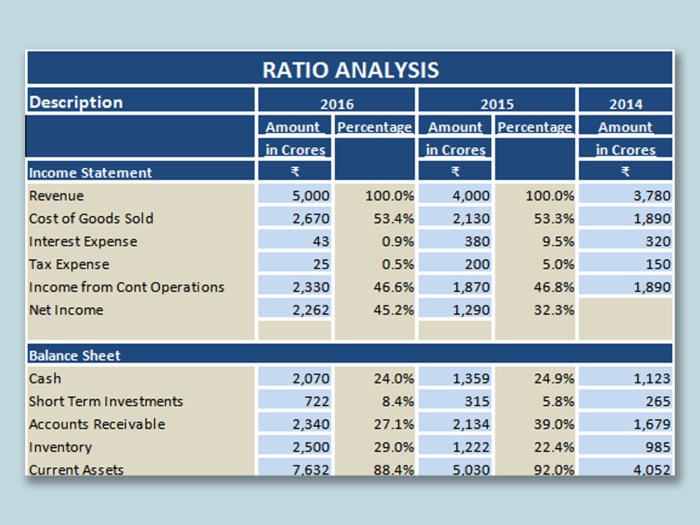 Ratio Analysis Techniques