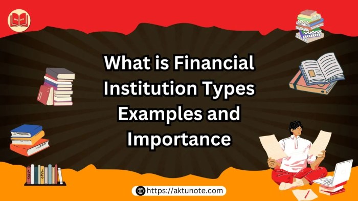 Financial Institution Risk