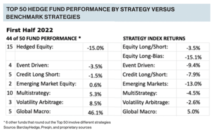 Hedge Fund Performance Review