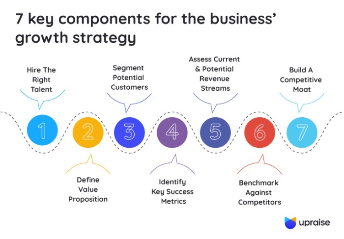 Business Growth Strategies Indonesia