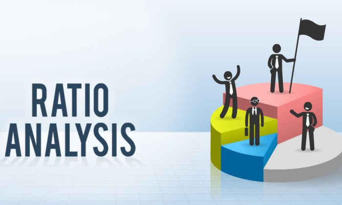 Ratio Analysis Techniques