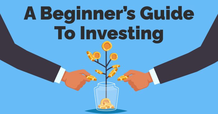 Beginners investment terms investing grass fed butter surprising schedule benefits health baby get