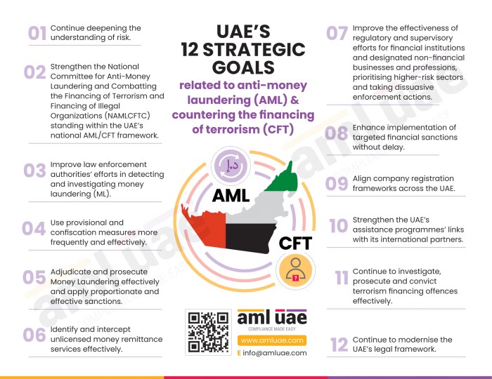 Laundering infographic