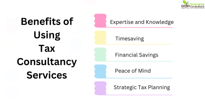 Consulting tax services