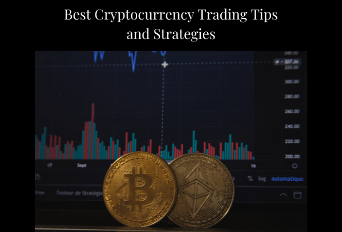 Cryptocurrency trading beginners investing dummies trade started tips simple get stock