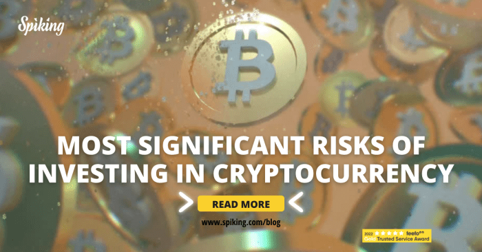 Cryptocurrency Investment Risks