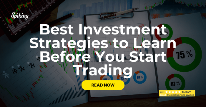 Investment Strategies Review