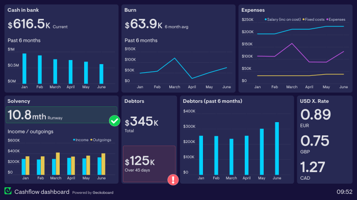 Dashboard financial dashboards ceo kpi customized reporting executive profitability payable