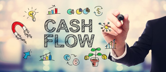 Cash Flow Management System