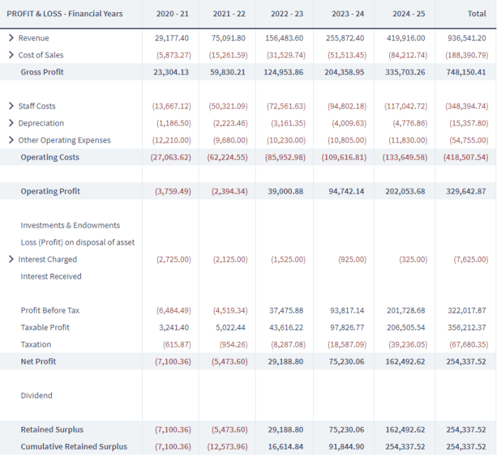 Business Plan Financial Projections