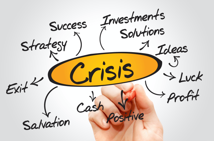 Financial Crisis Management Strategies