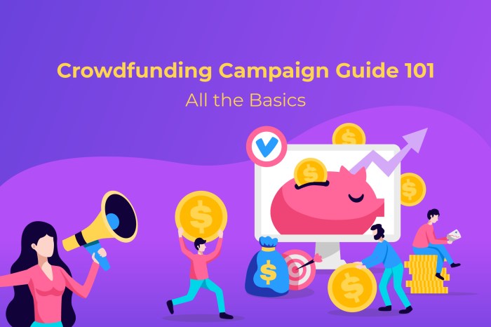 Crowdfunding campaign wordpress launch steps using tricks tips