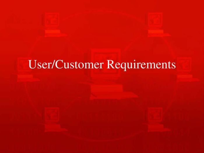 Know-Your-Customer Requirements