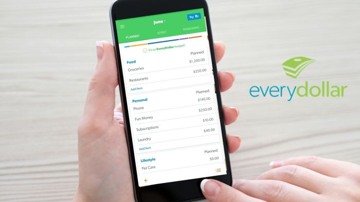 Budgeting apps spending mint reign future save app intuit