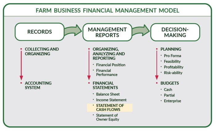 Cash Flow Management System