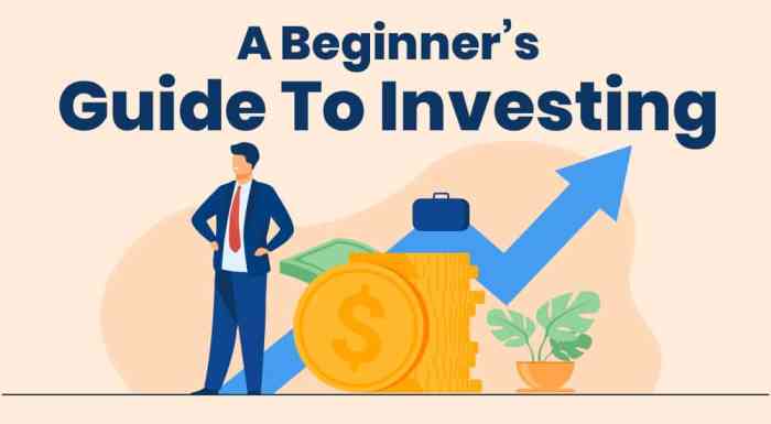 Investing for Beginners Guide