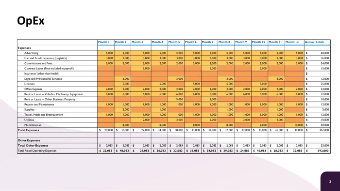 Business Plan Financial Projections