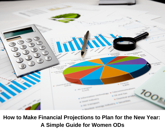 Business Plan Financial Projections