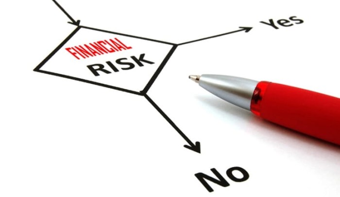 Financial Institution Risk Management