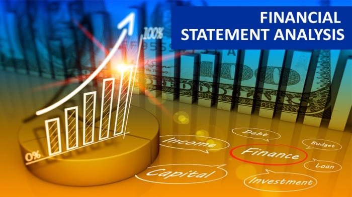 Financial Statement Analysis Techniques