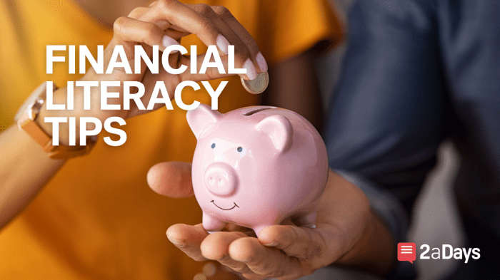 Financial Literacy Tips Guide