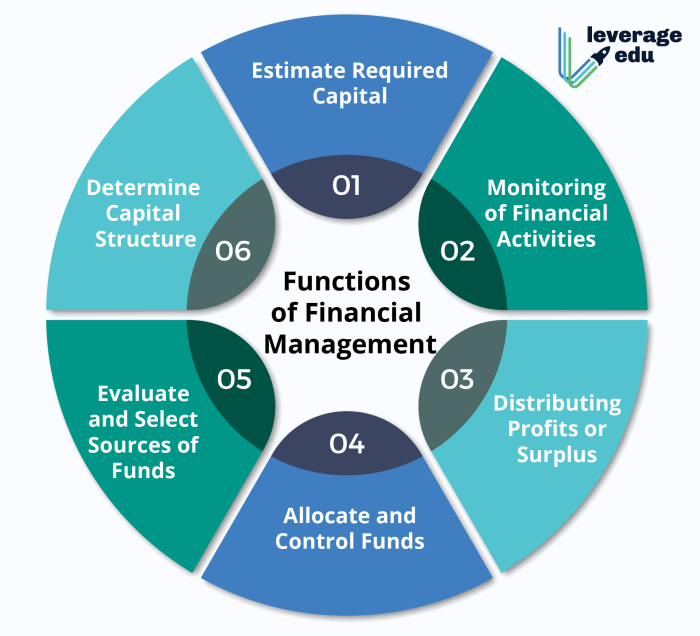 Strategic Financial Management Techniques