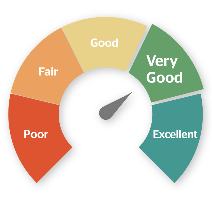 Credit Score Improvement Tips