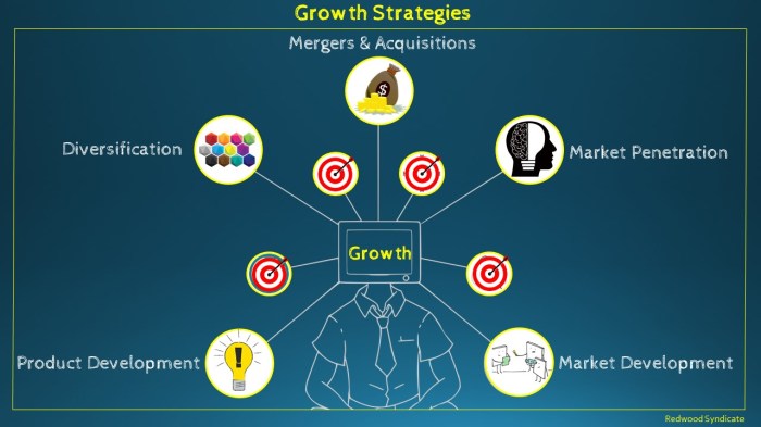 Business Growth Strategies