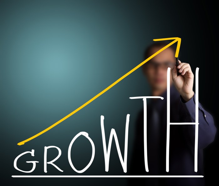 Business Growth Strategies Review