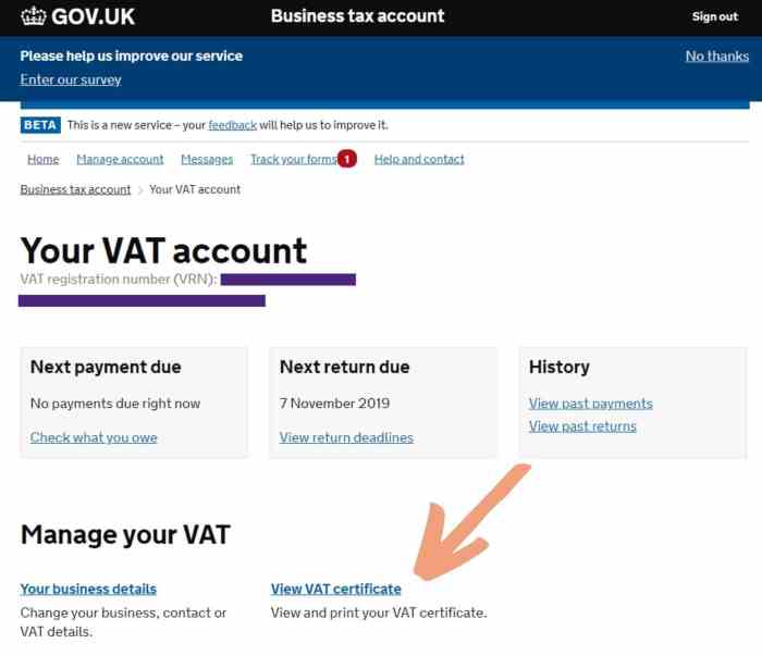 VAT Registration Guide