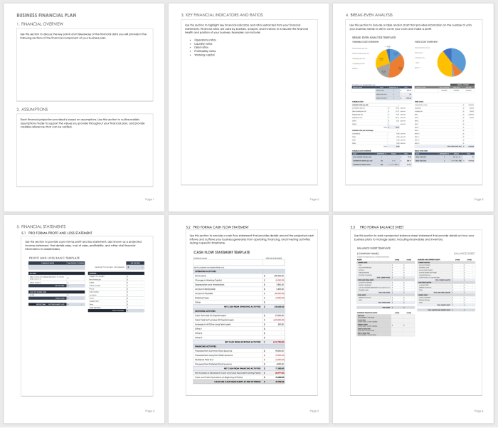 Business Plan Financial Projections