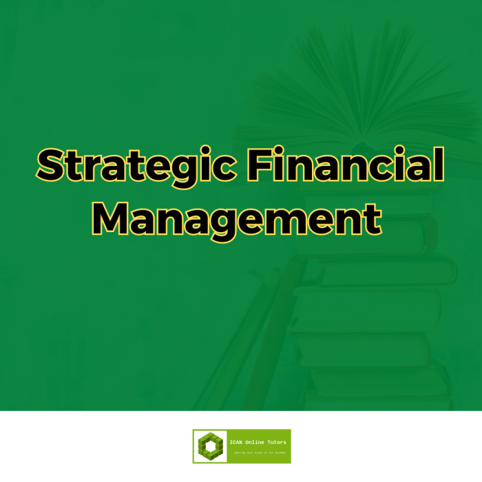 Strategic Financial Management