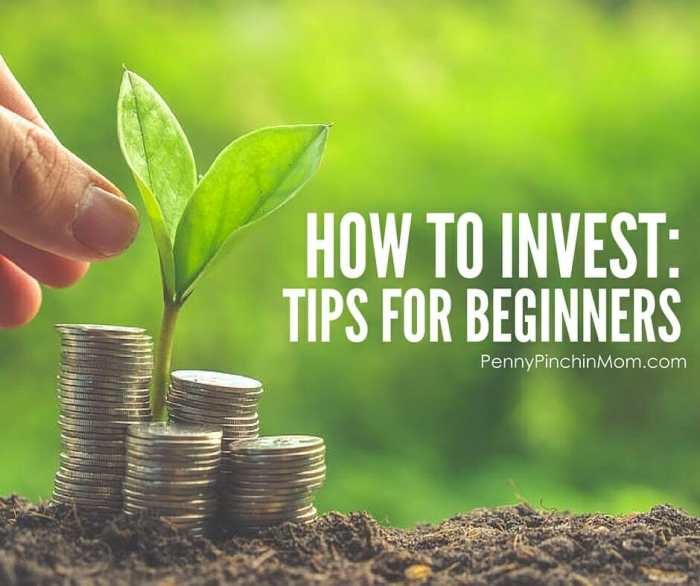 Investing for Beginners