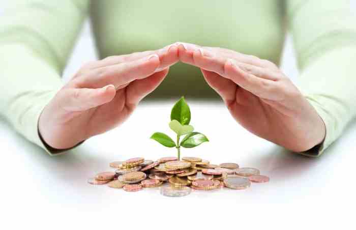 Impact Investing Opportunities