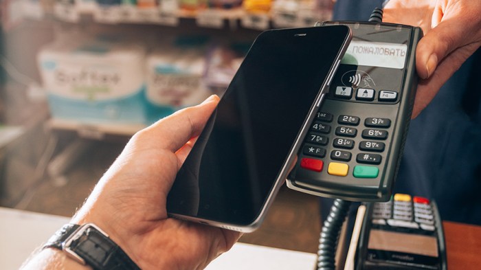 Digital Payment Systems