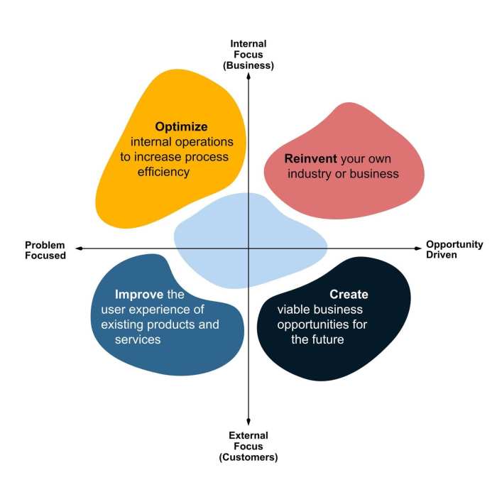 Business Model Innovation