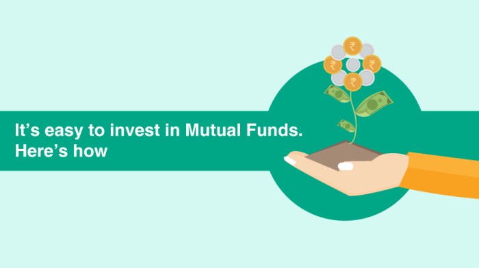 Mutual fund funds beginners